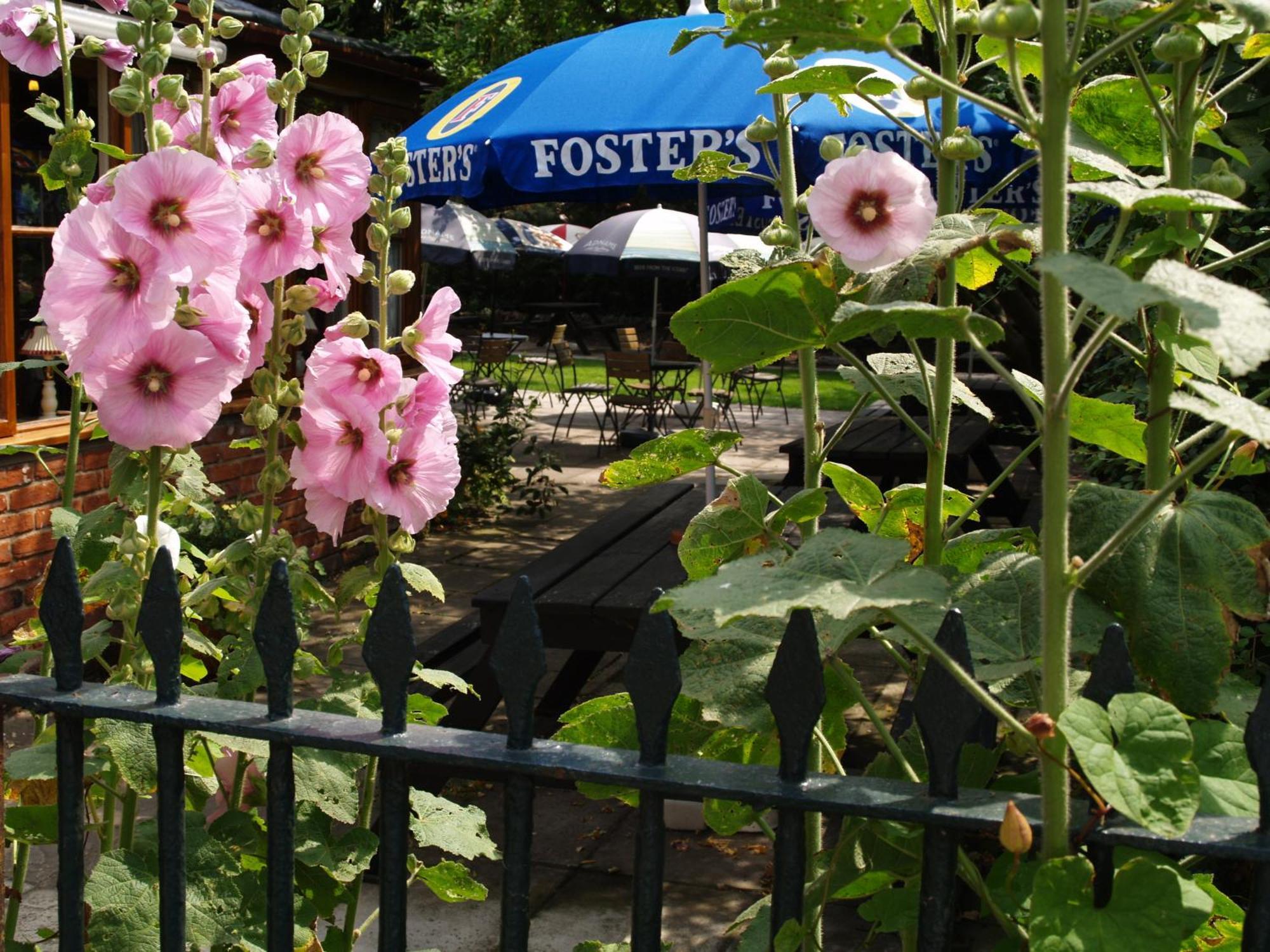 The Olde Windmill Inn Great Cressingham Экстерьер фото