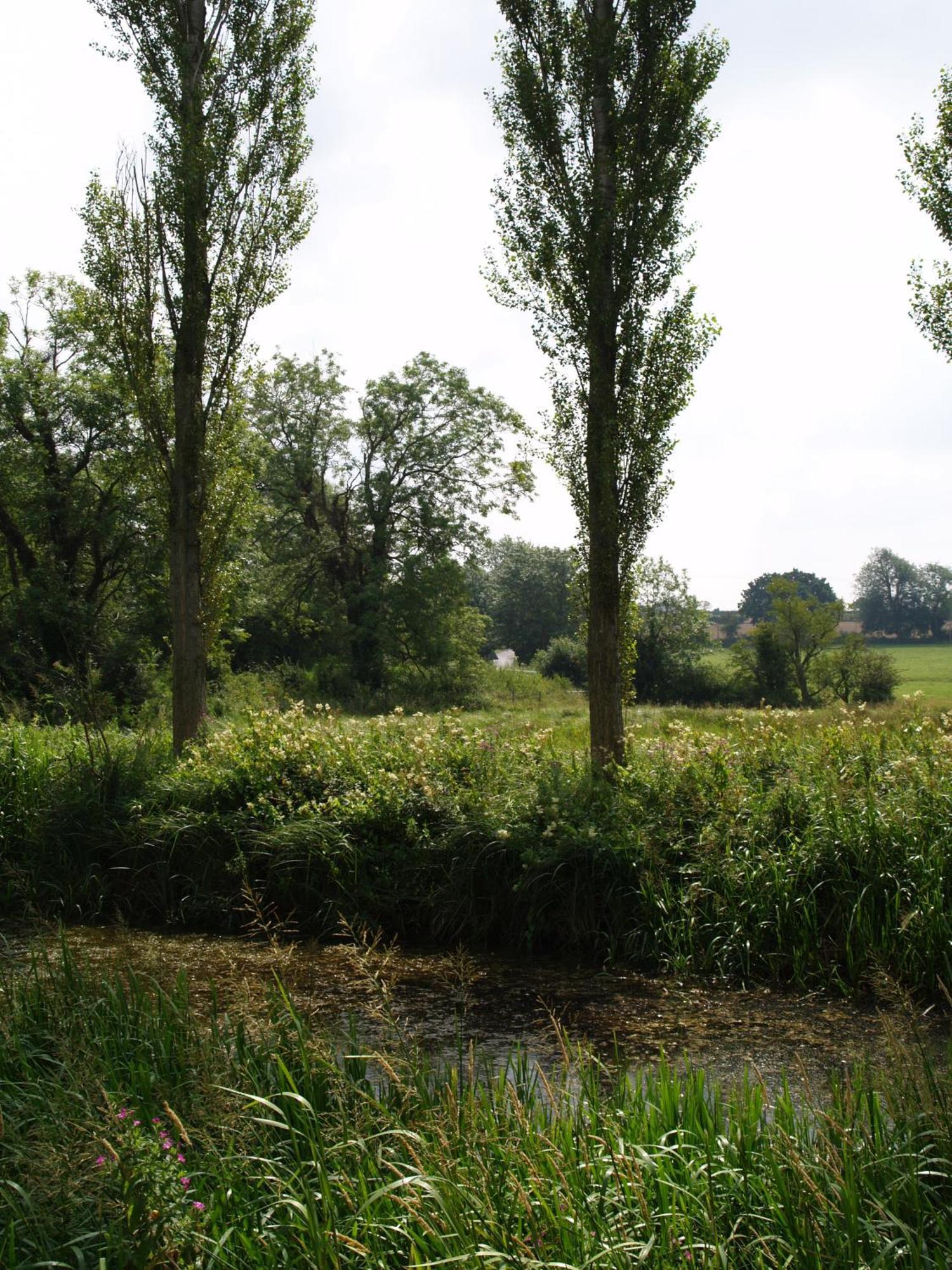 The Olde Windmill Inn Great Cressingham Экстерьер фото